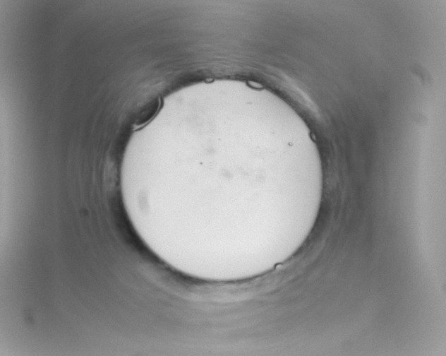 X0000115480025200911271337