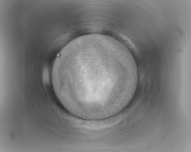 X0000115480026200911271337