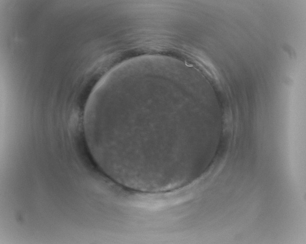 X0000115480029200911271337