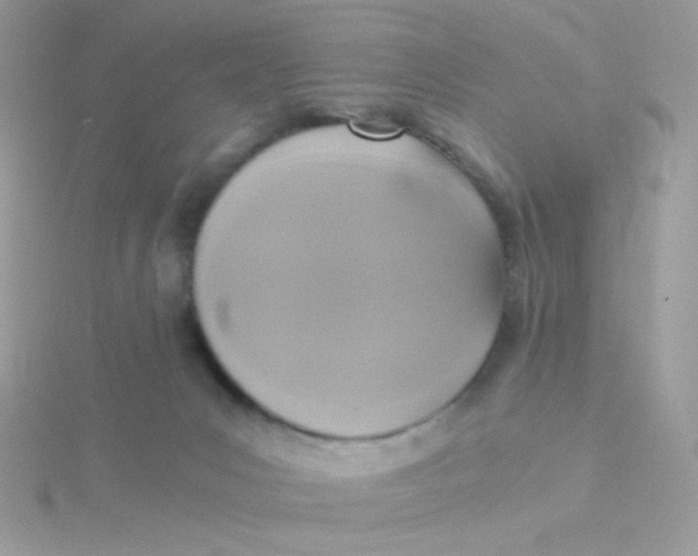 X0000115480031200911271337