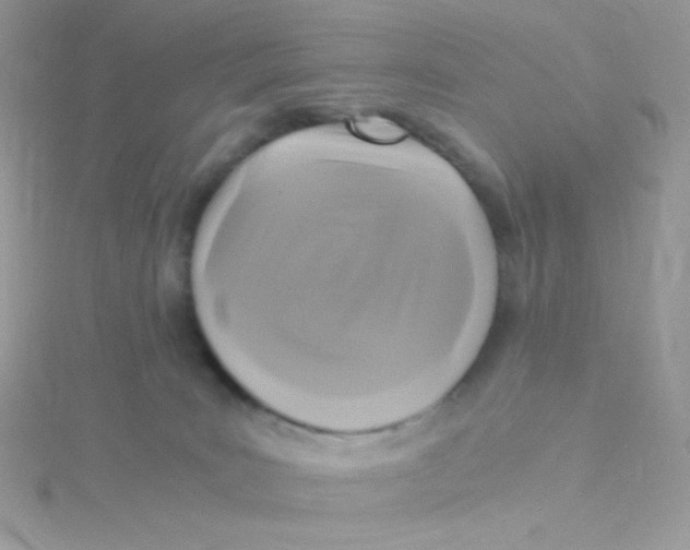 X0000115480035200911271337