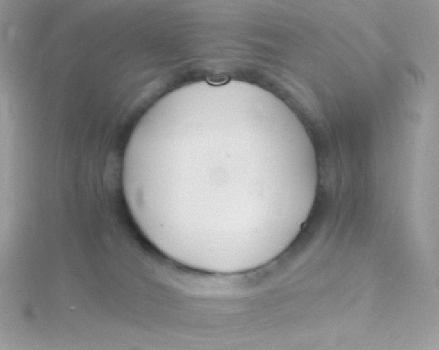 X0000115480036200911271337