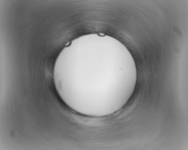 X0000115480040200911271337