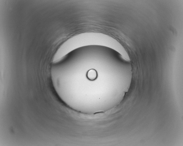 X0000115480043200911271337