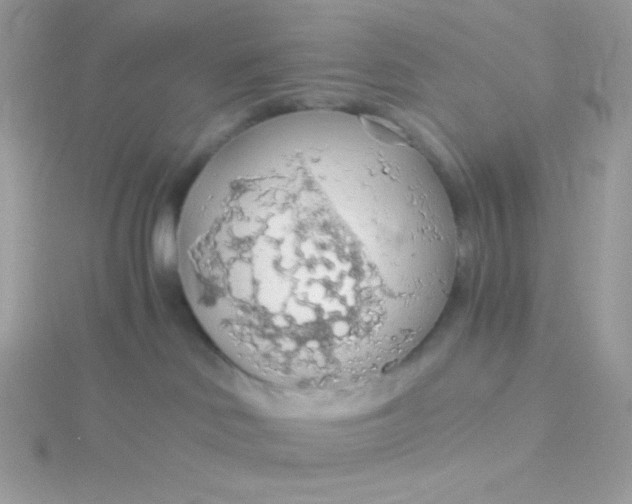 X0000115480046200911271337