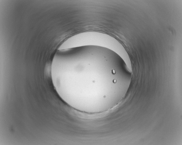 X0000115480047200911271337