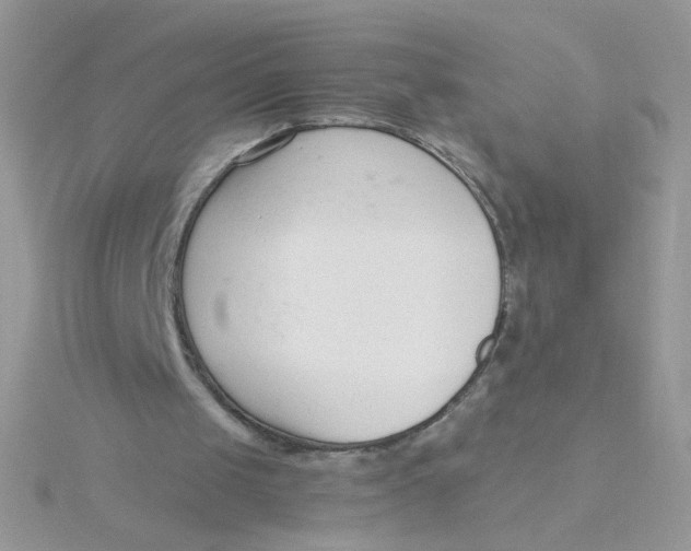 X0000115480049200911271336