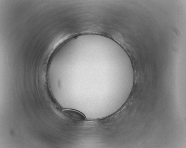 X0000115480050200911271336