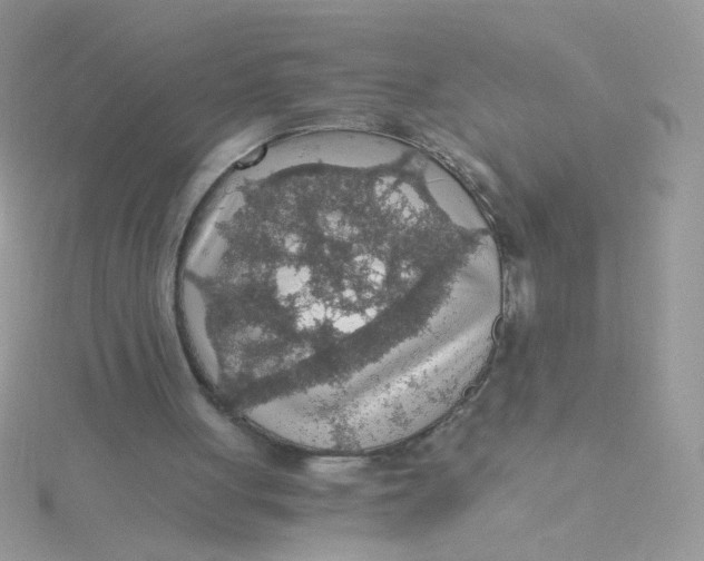 X0000115480051200911271336