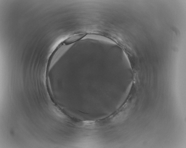 X0000115480052200911271336