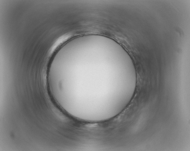 X0000115480054200911271336