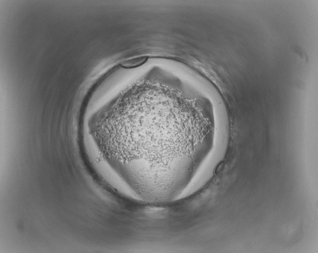 X0000115480055200911271336