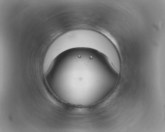 X0000115480057200911271336