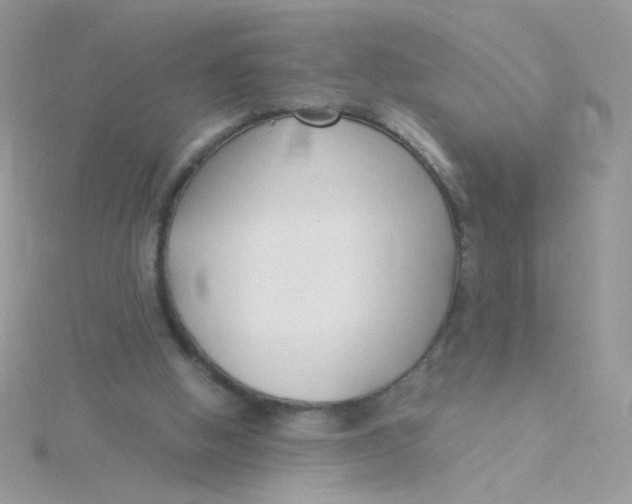 X0000115480058200911271336