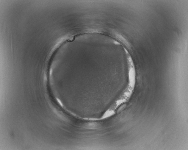 X0000115480059200911271336