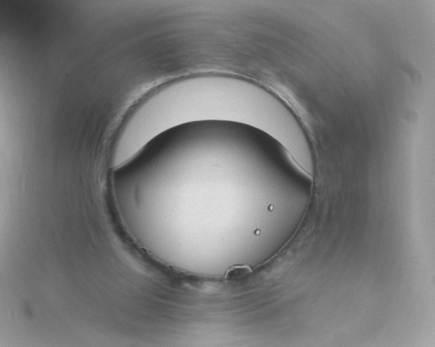 X0000115480060200911271336