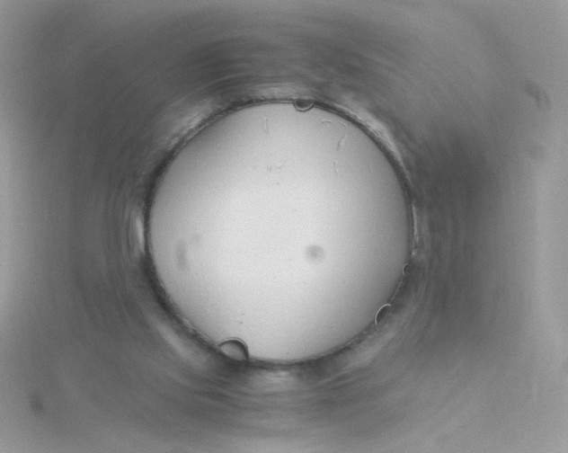 X0000115480061200911271336