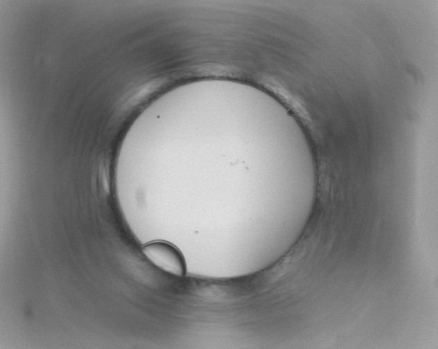 X0000115480062200911271336