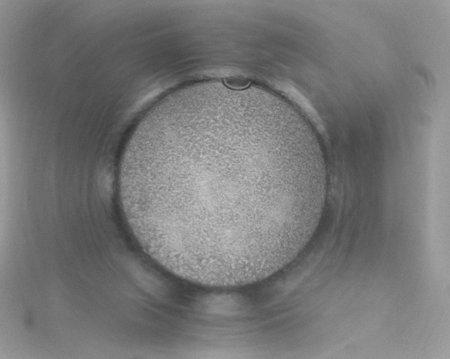 X0000115480063200911271336