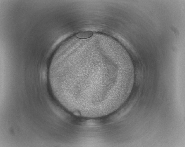 X0000115480064200911271337