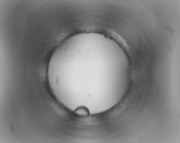 X0000115480065200911271337