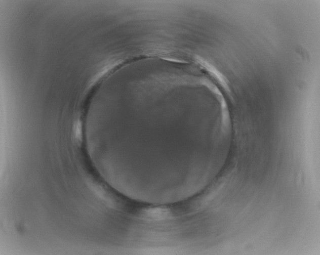 X0000115480067200911271337