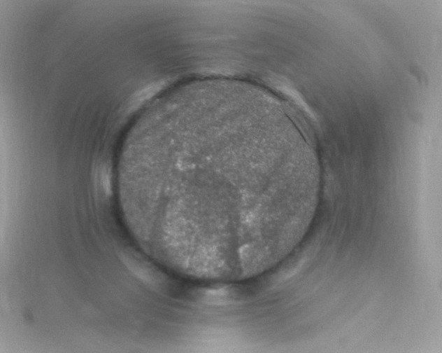 X0000115480068200911271337