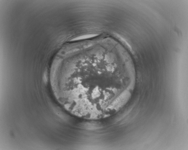 X0000115480069200911271337