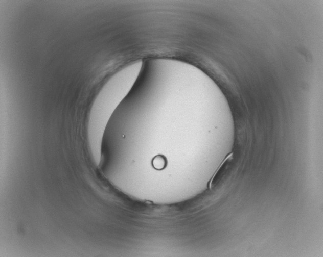 X0000115480072200911271337