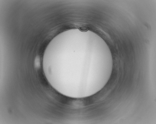 X0000115480075200911271337