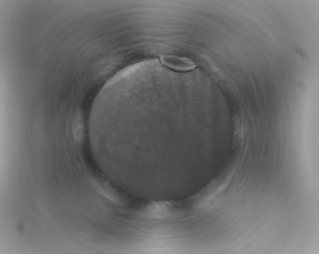 X0000115480080200911271337