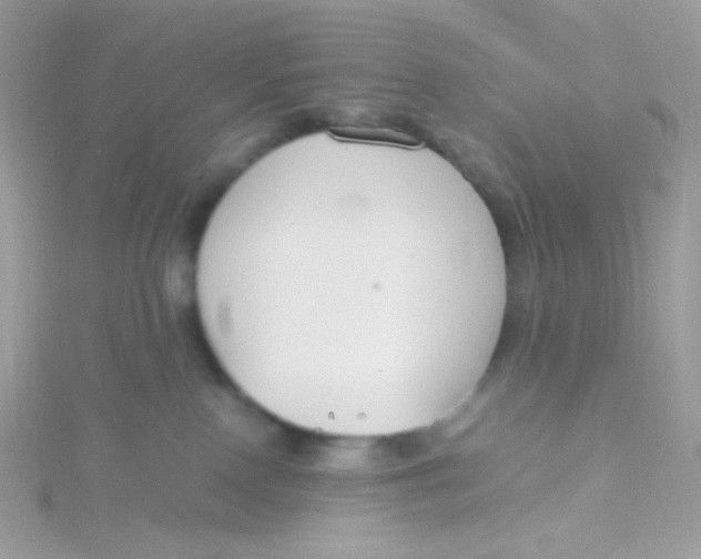 X0000115480090200911271337