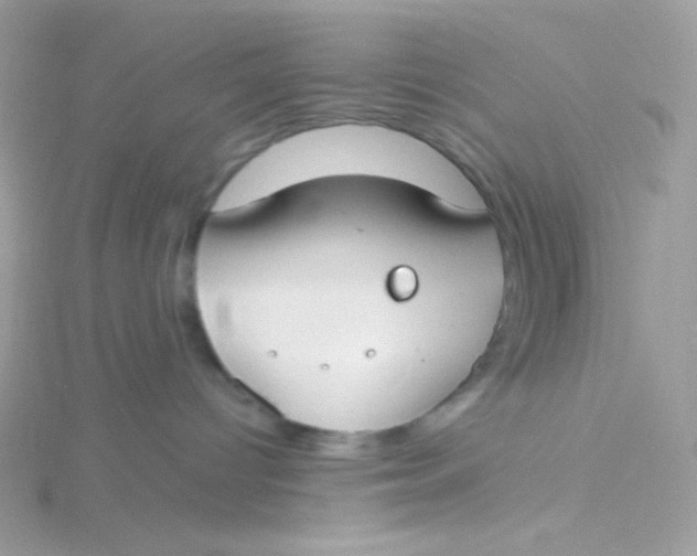 X0000115480096200911271337