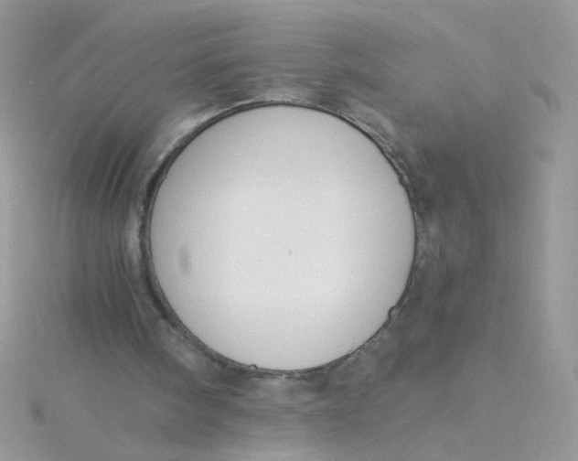 X0000115480098200911271336