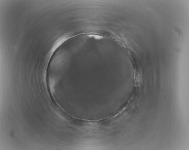 X0000115480099200911271336