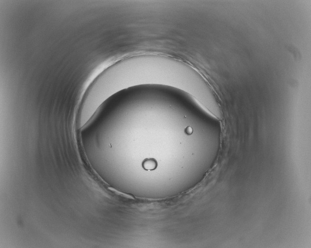 X0000115480100200911271336