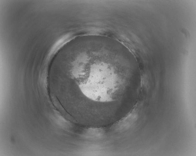 X0000115480101200911271336