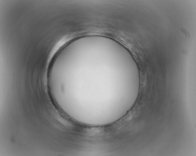 X0000115480102200911271336