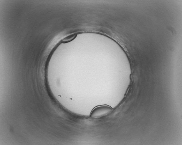 X0000115480103200911271336