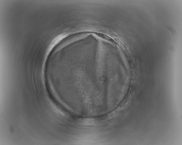 X0000115480104200911271336