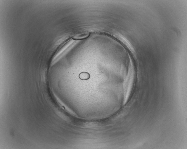 X0000115480105200911271336