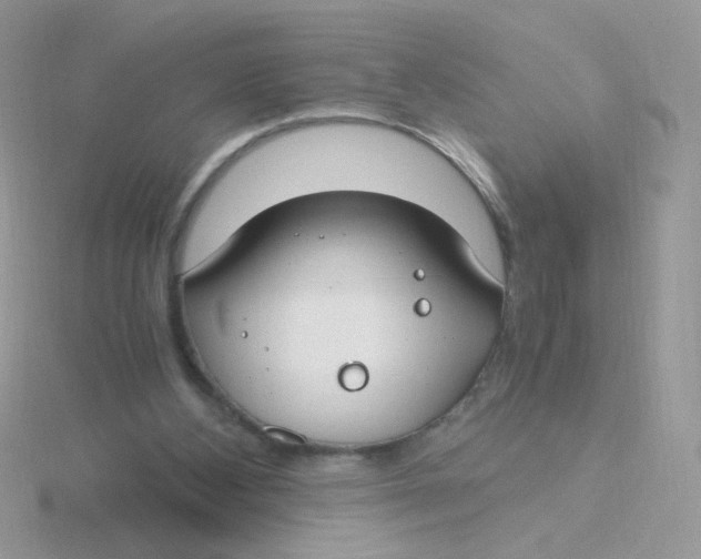 X0000115480108200911271336