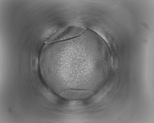 X0000115480109200911271336