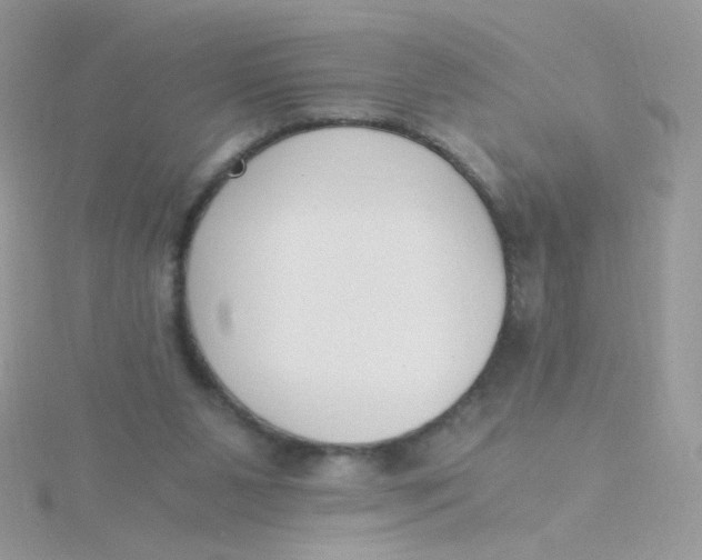 X0000115480111200911271336