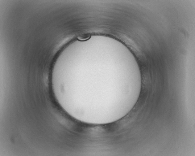 X0000115480112200911271336