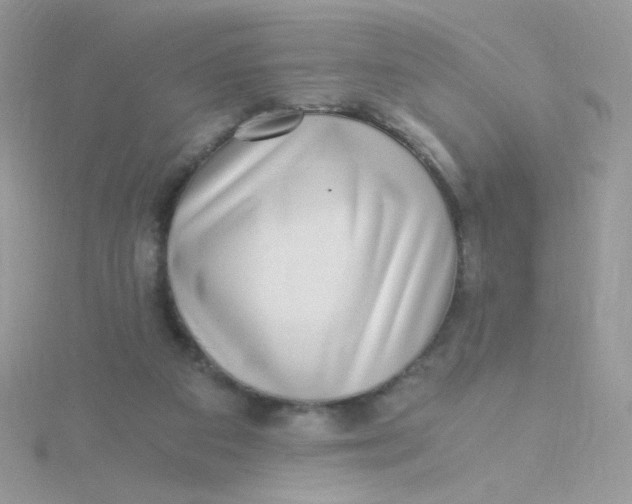 X0000115480113200911271336