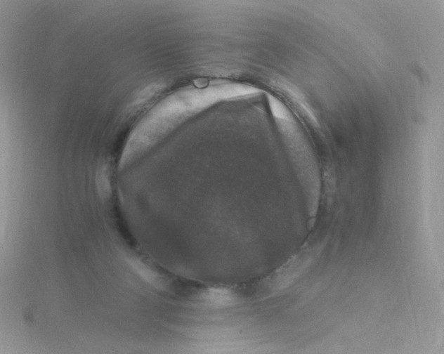 X0000115480114200911271336