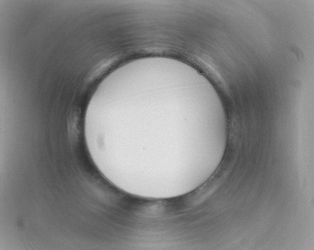 X0000115480116200911271336