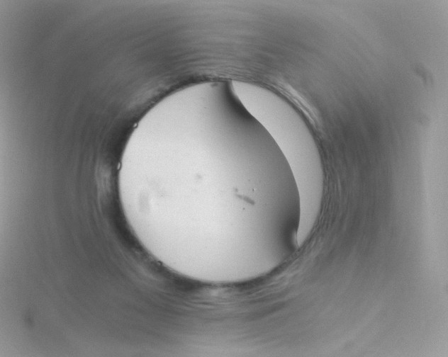 X0000115480117200911271336