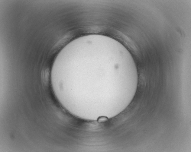 X0000115480118200911271336